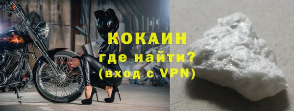 дживик Майский