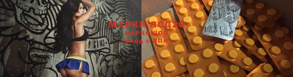 дживик Майский