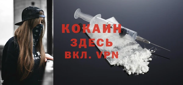 дживик Майский