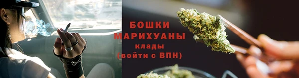 дживик Майский