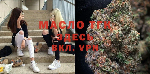 дживик Майский