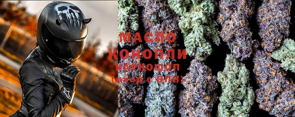 прущие крисы Ельня