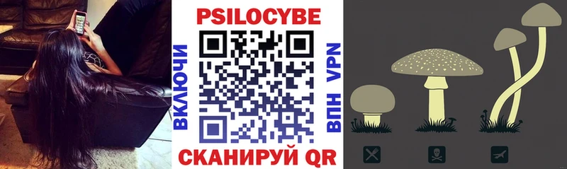 где купить наркотик  сайты даркнета официальный сайт  blacksprut сайт  Галлюциногенные грибы MAGIC MUSHROOMS  Ржев 