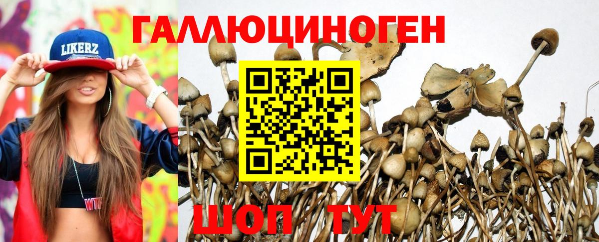 Ржев  Галлюциногенные грибы Psilocybine cubensis  Псилоцибиновые грибы MAGIC MUSHROOMS  Вход с VPN 