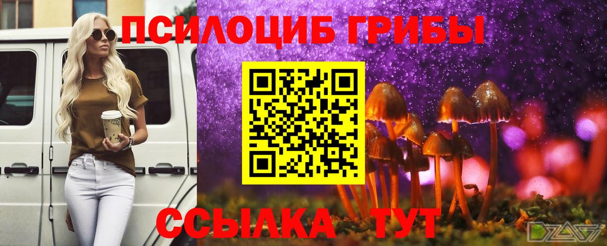Псилоцибиновые грибы MAGIC MUSHROOMS  Псилоцибиновые грибы Cubensis  Вход с VPN  хочу   Ржев 
